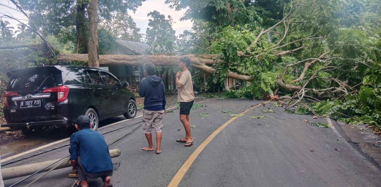 Ada Pohon Tumbang dan Menutup Jalan, Polsek Kalipucang Pangandaran Lakukan Evakuasi