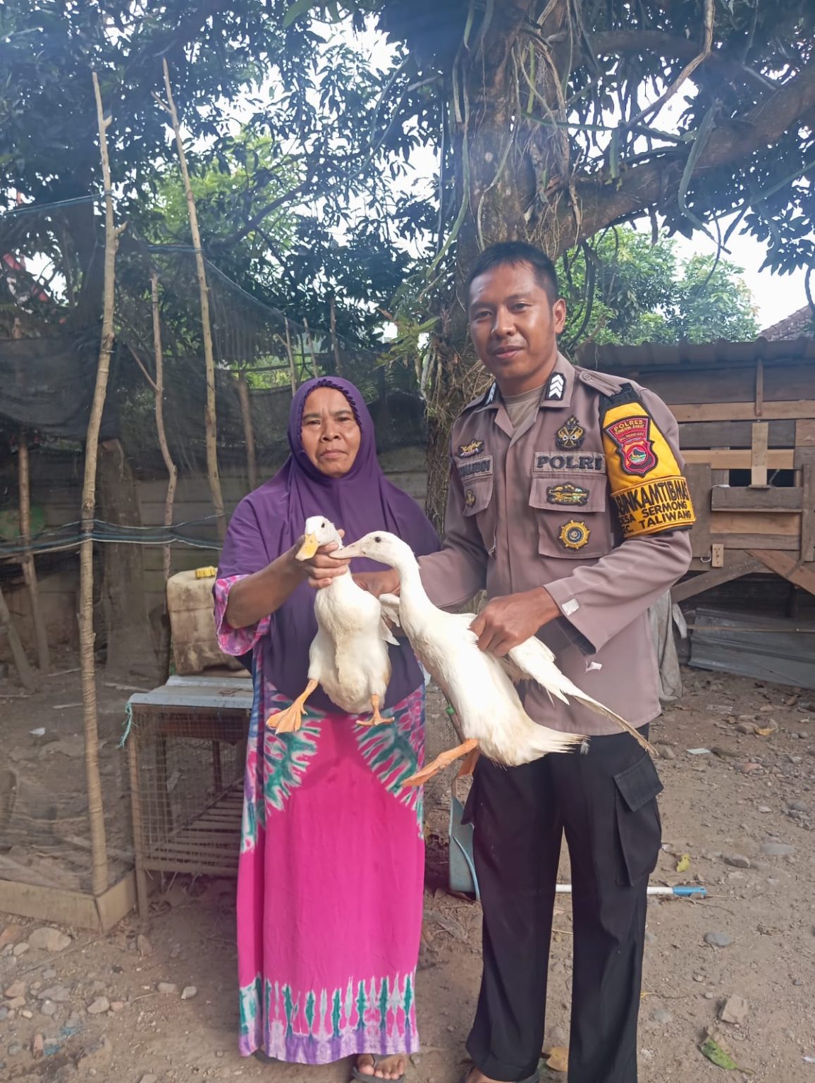 Dukung Wira Usaha Warga Binaan Bhabinkamtibmas Desa Sermong Komitmen Terus Bantu Beri Bibit Ternak Bebek Petelur