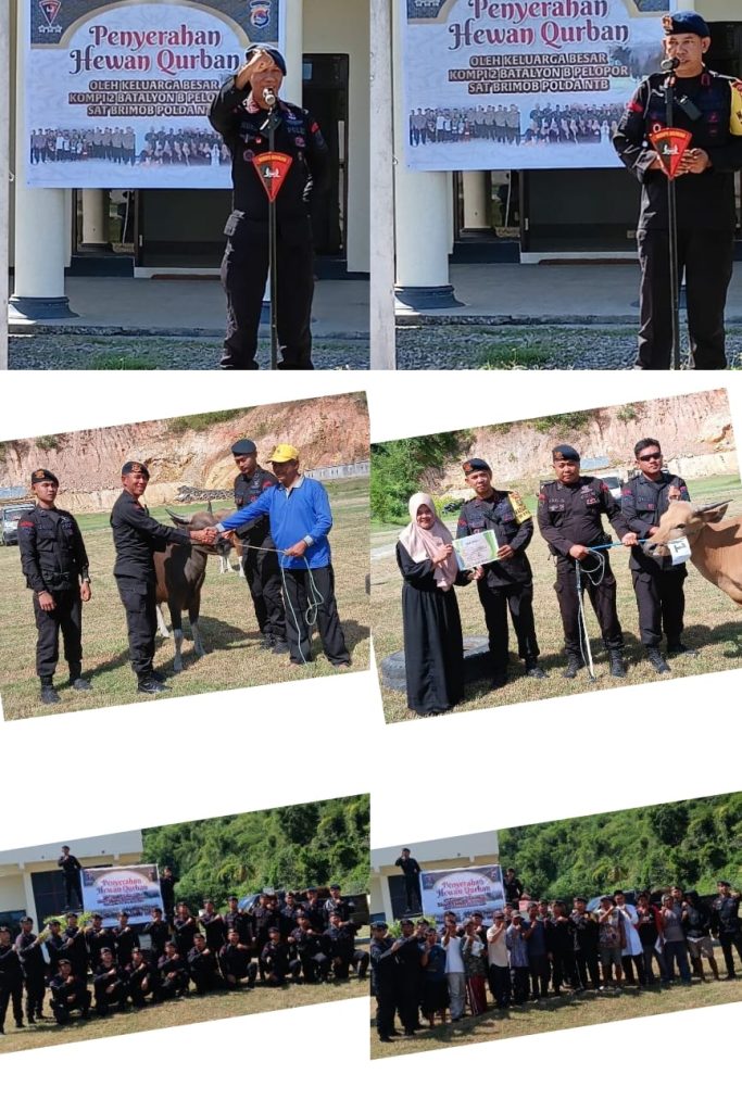 Penyerahan Hewan qurban Oleh Keluarga Besar Kompi 2 Batalyon B Pelopor Sumbawa Barat Sat Brimob Polda NTB