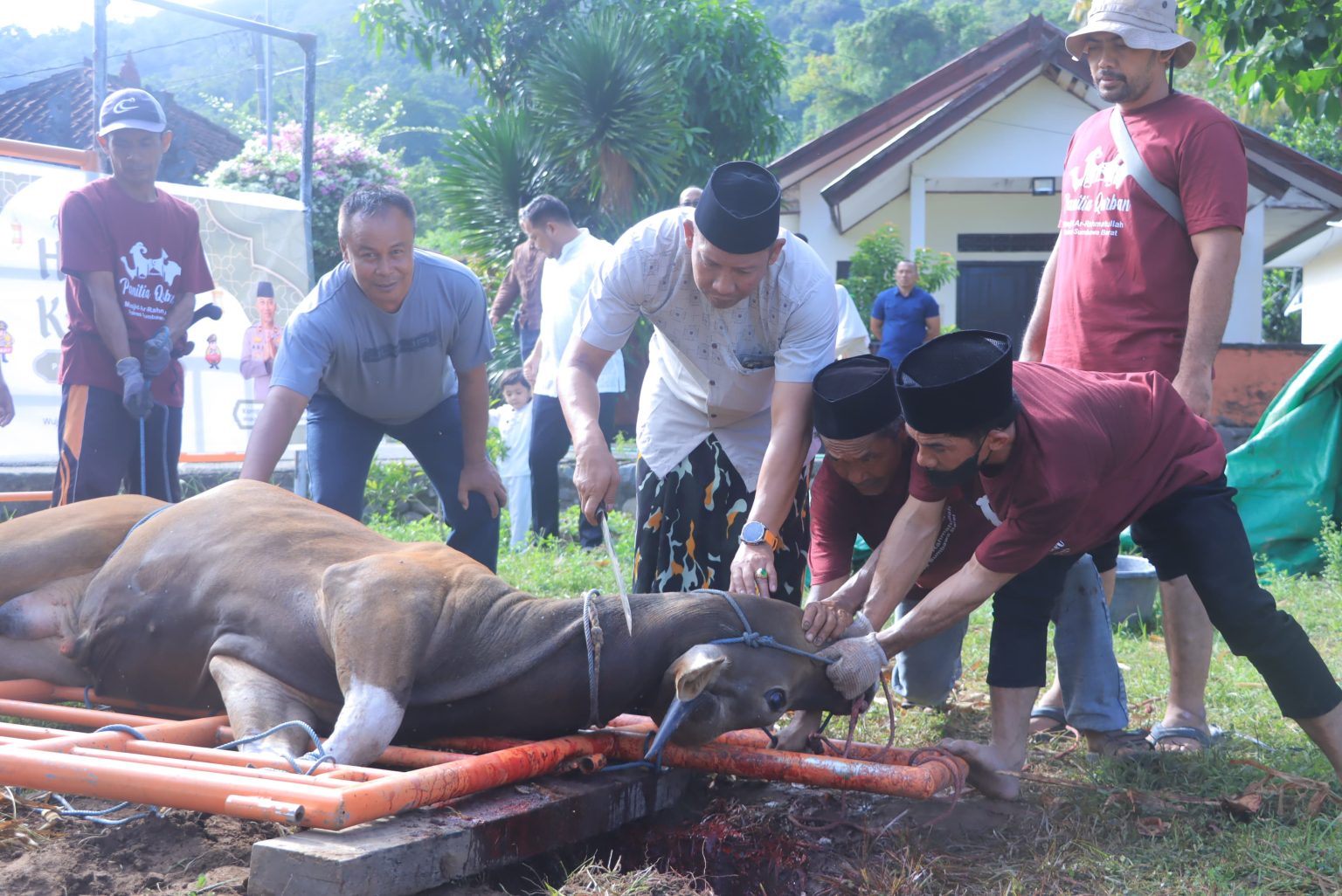 Kapolres Sumbawa Barat Pimpin Pemotongan Hewan Qurban
