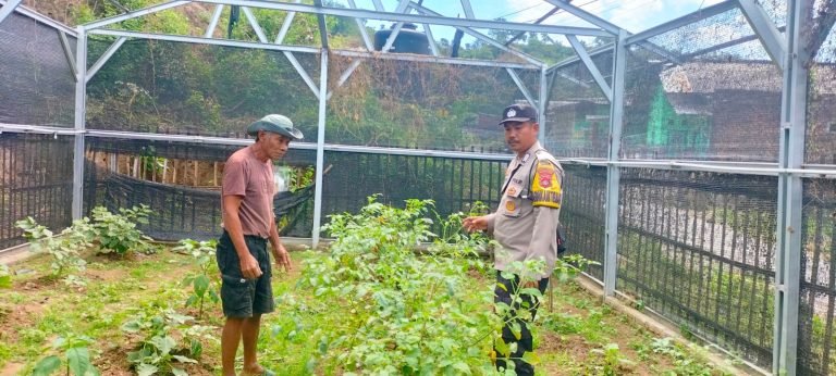 Bhabinkamtibmas Desa Mantun Dampingi Pengelolaan Pekarangan Pangan Bergizi