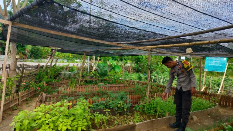 Bhabinkamtibmas Desa Bangkat Monteh Dampingi Warga Tanam Pekarangan Bergizi Dukung Program Swasembada Pangan