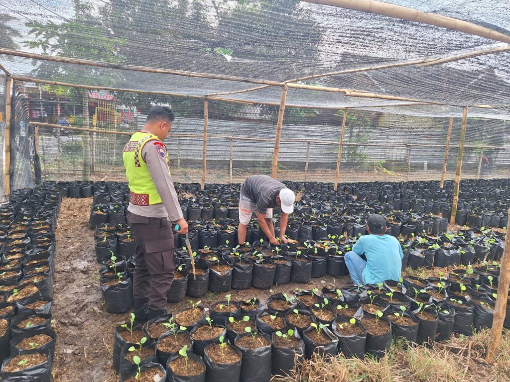 Bhabinkamtibmas Desa Seran Dampingi Warga Kelola Pekarangan Pangan Bergizi