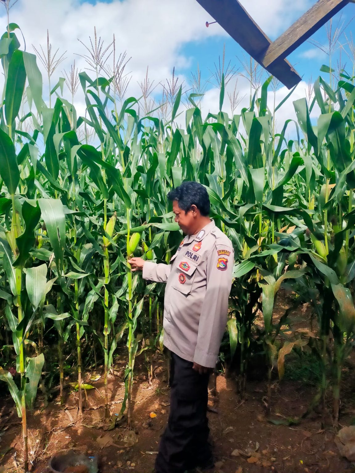 Bhabinkamtibmas Desa Rarak Ronges Dampingi Pengelolaan Pekarangan Pangan Bergizi Musim Tanam Kuartal II