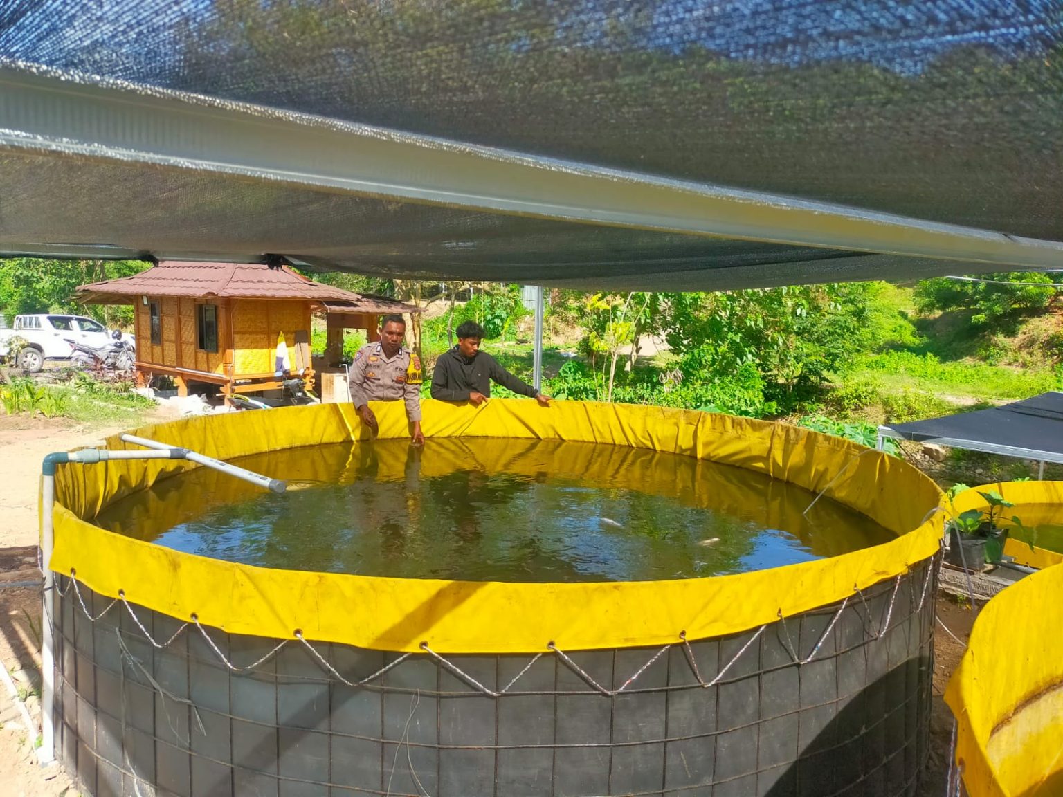 Bhabinkamtibmas Desa Tongo Dampingi Warga Kelola Pekarangan Pangan Bergizi