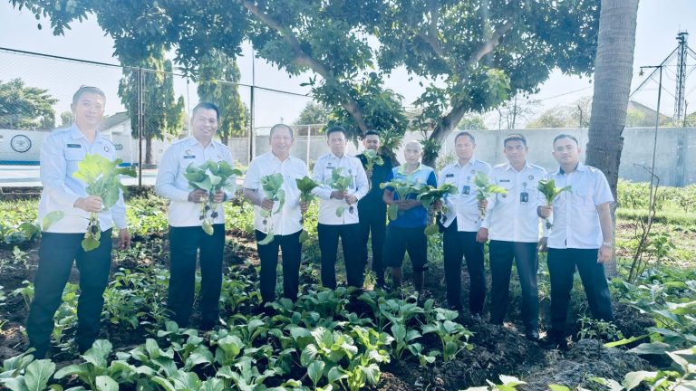 Panen Sawi Hijau, Pemberdayaan Warga Binaan Manfaatkan Lahan Tidur