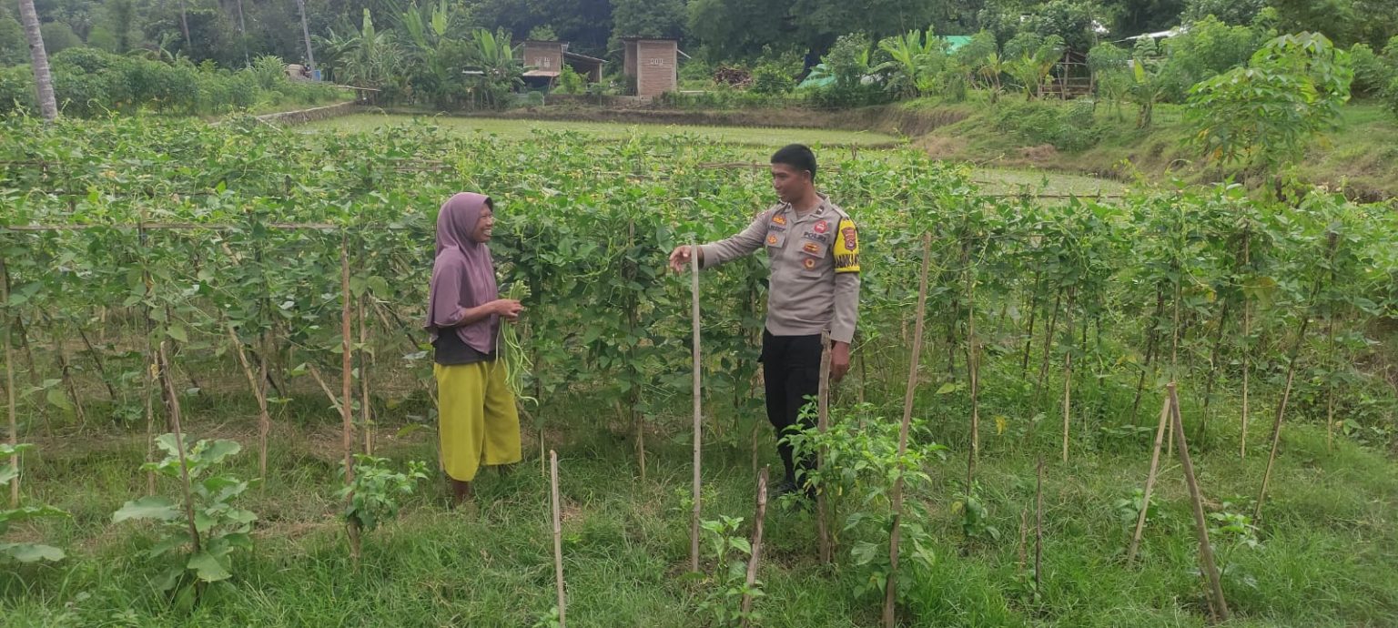 Bhabinkamtibmas Desa Manemeng Lakukan Pendampingan Pengelolaan Pekarangan Pangan Bergizi