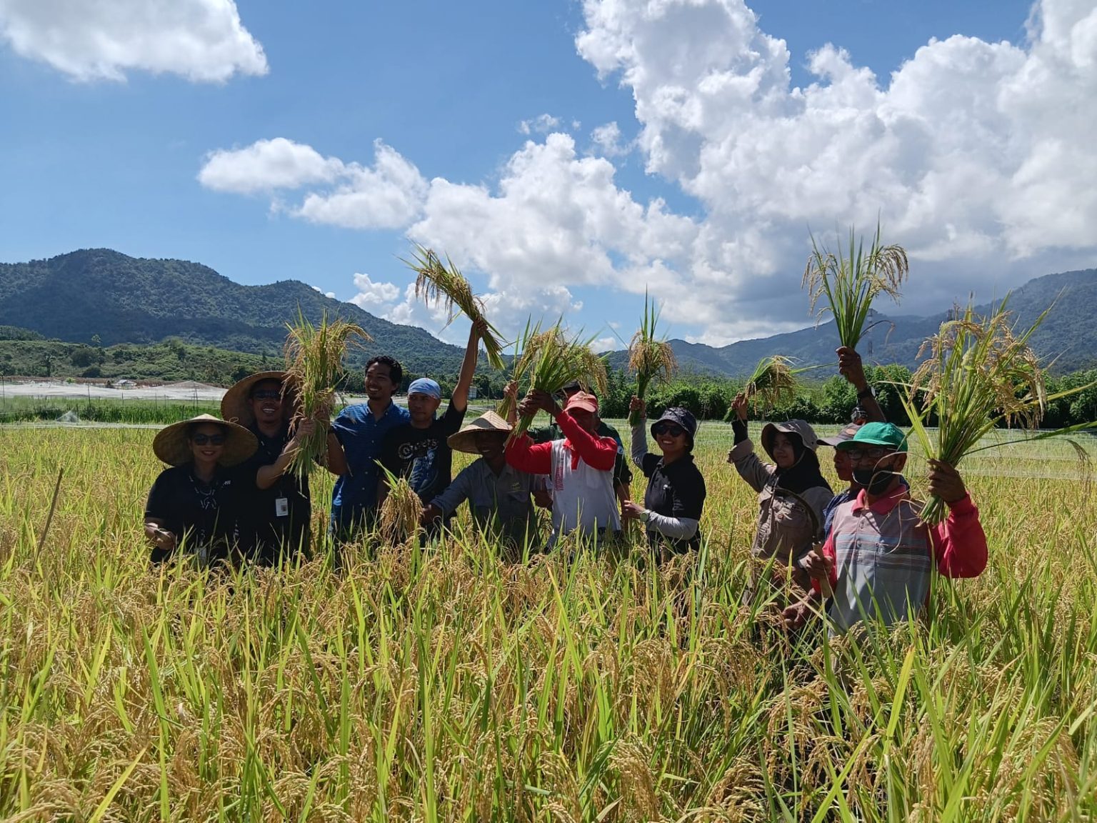 AMMAN Dalam Pengembangan Pemberdayaan Masyarakat Pertanian Gandeng Aliksa Organik