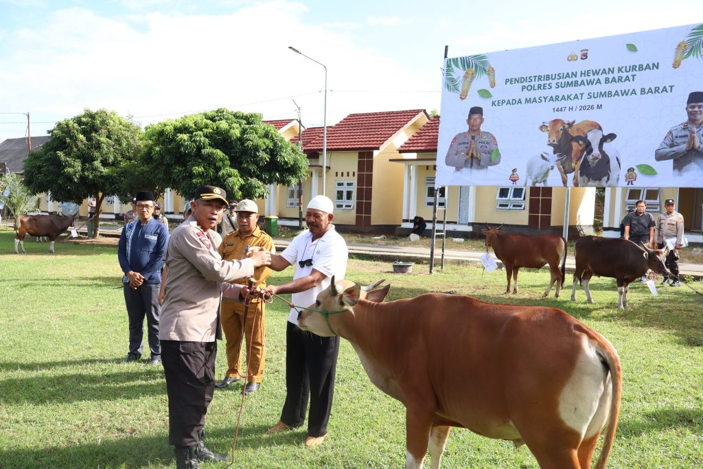 Polres Sumbawa Barat Distribusikan Hewan Kurban untuk Masyarakat pada Iduladha 1447 H/2026 M
