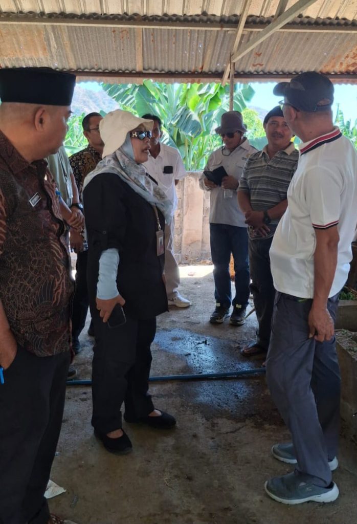 Program Agribisnis Sapi Bali KSB Terus Dikebut, Swakelola Ditarget Tuntas Akhir Agustus